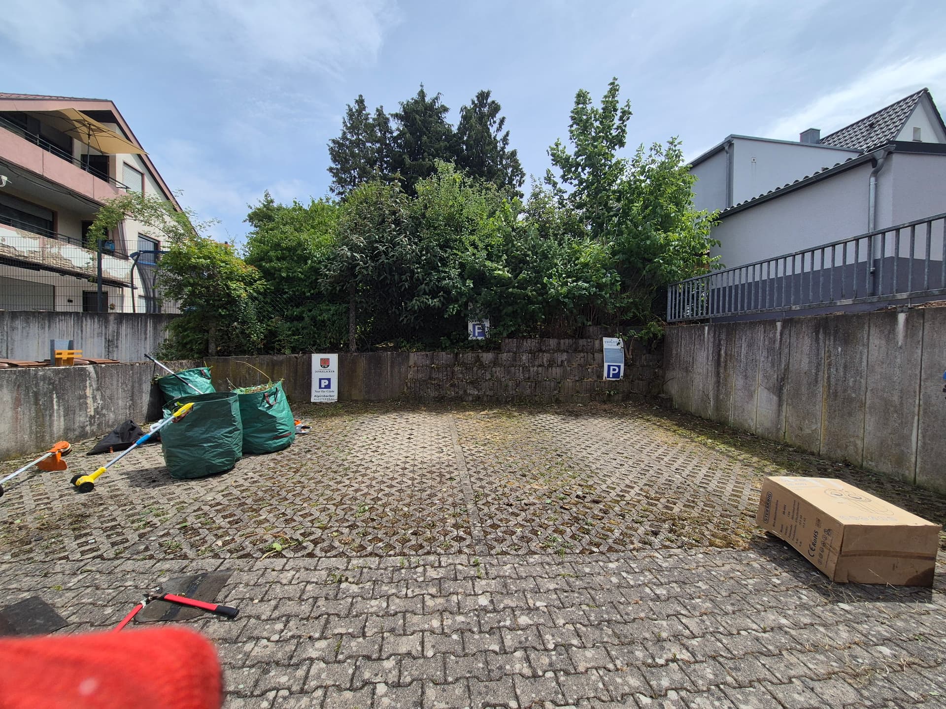 Freischneiden Stellplatz – nachher