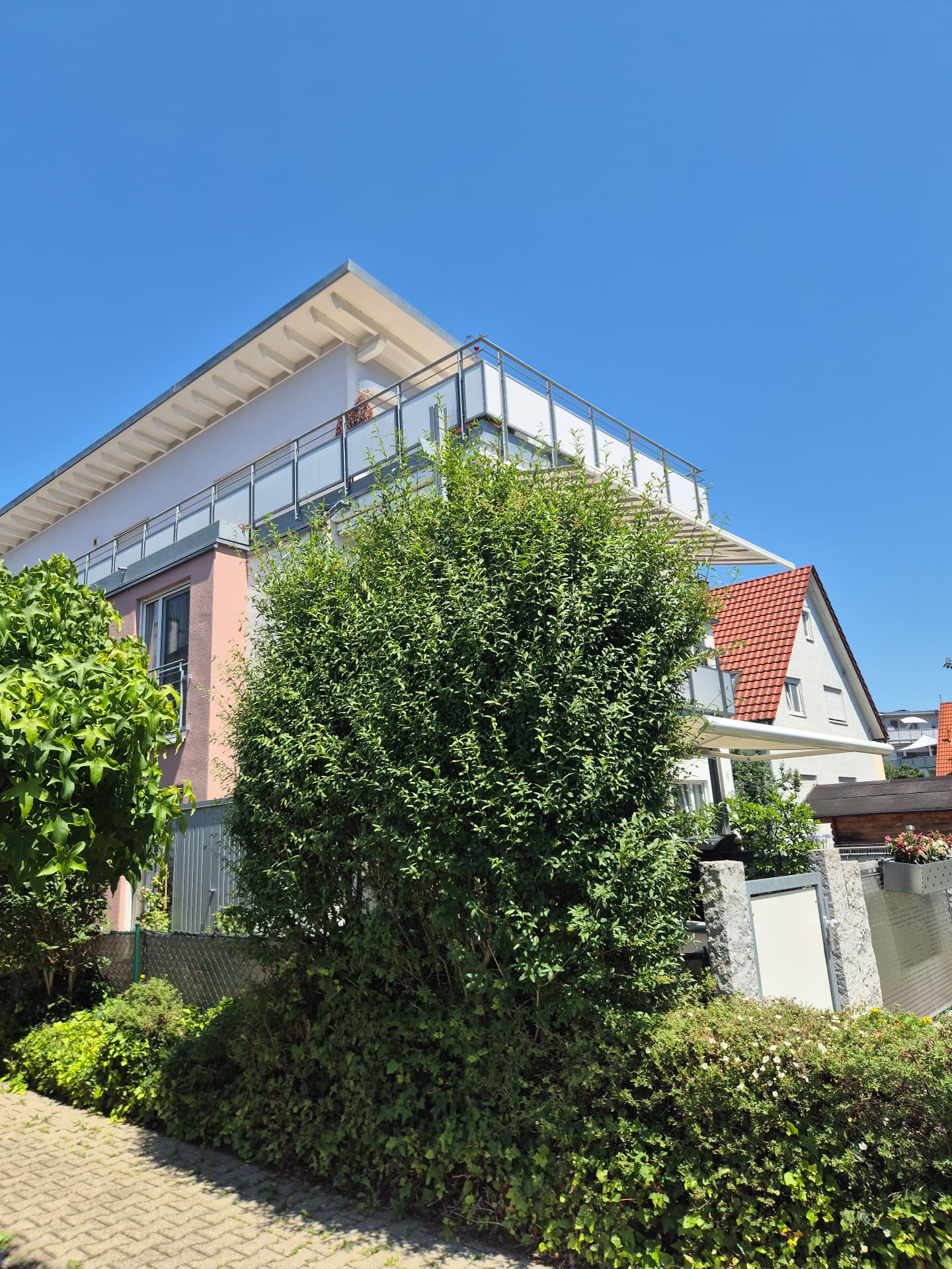 Heckenschnitt – vorher