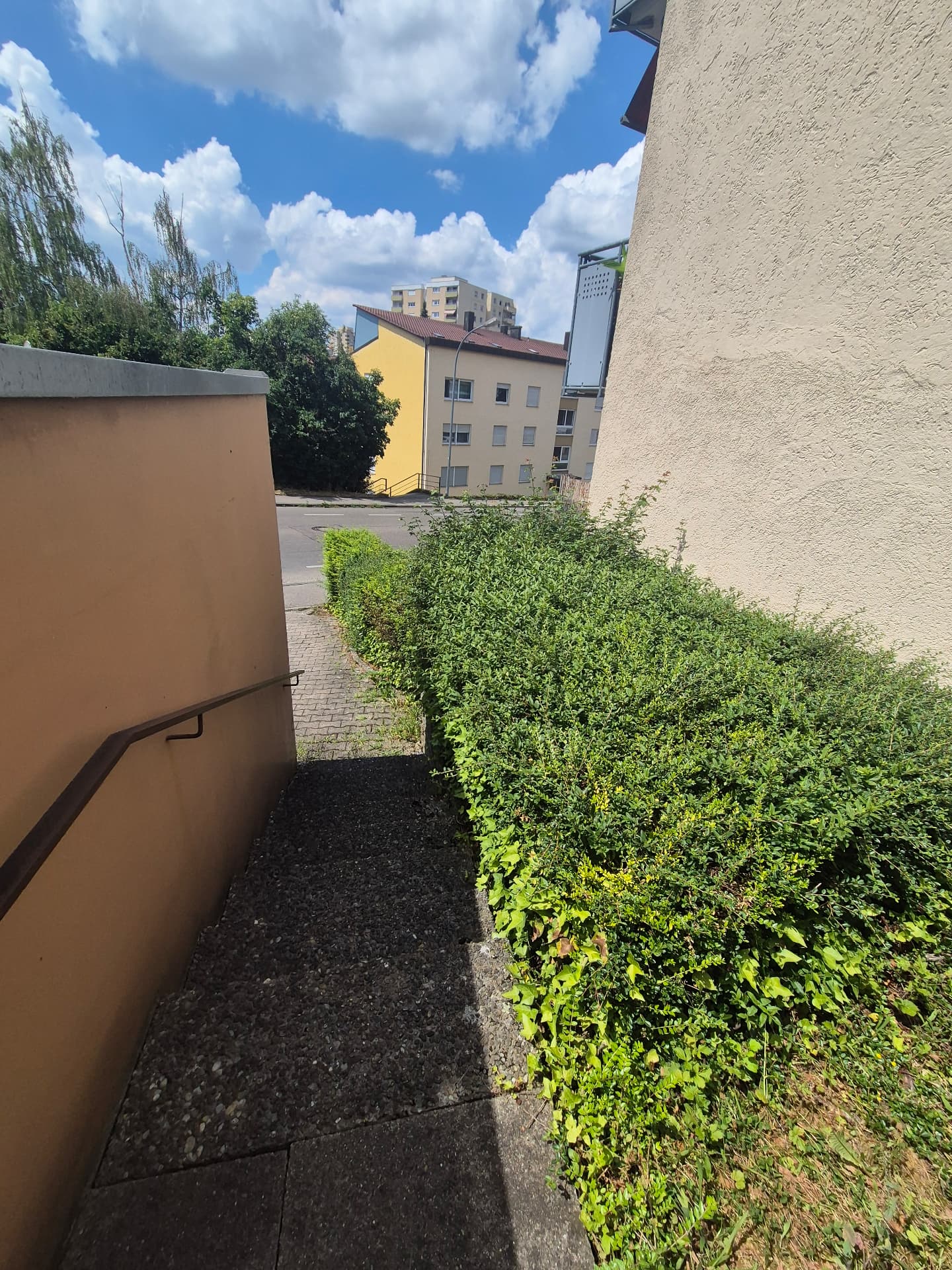 Heckenschnitt am Treppenaufgang – vorher