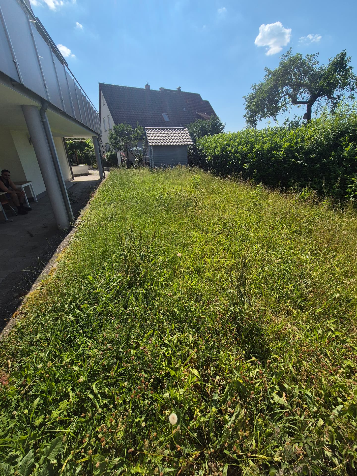 Gartenpflege – vorher