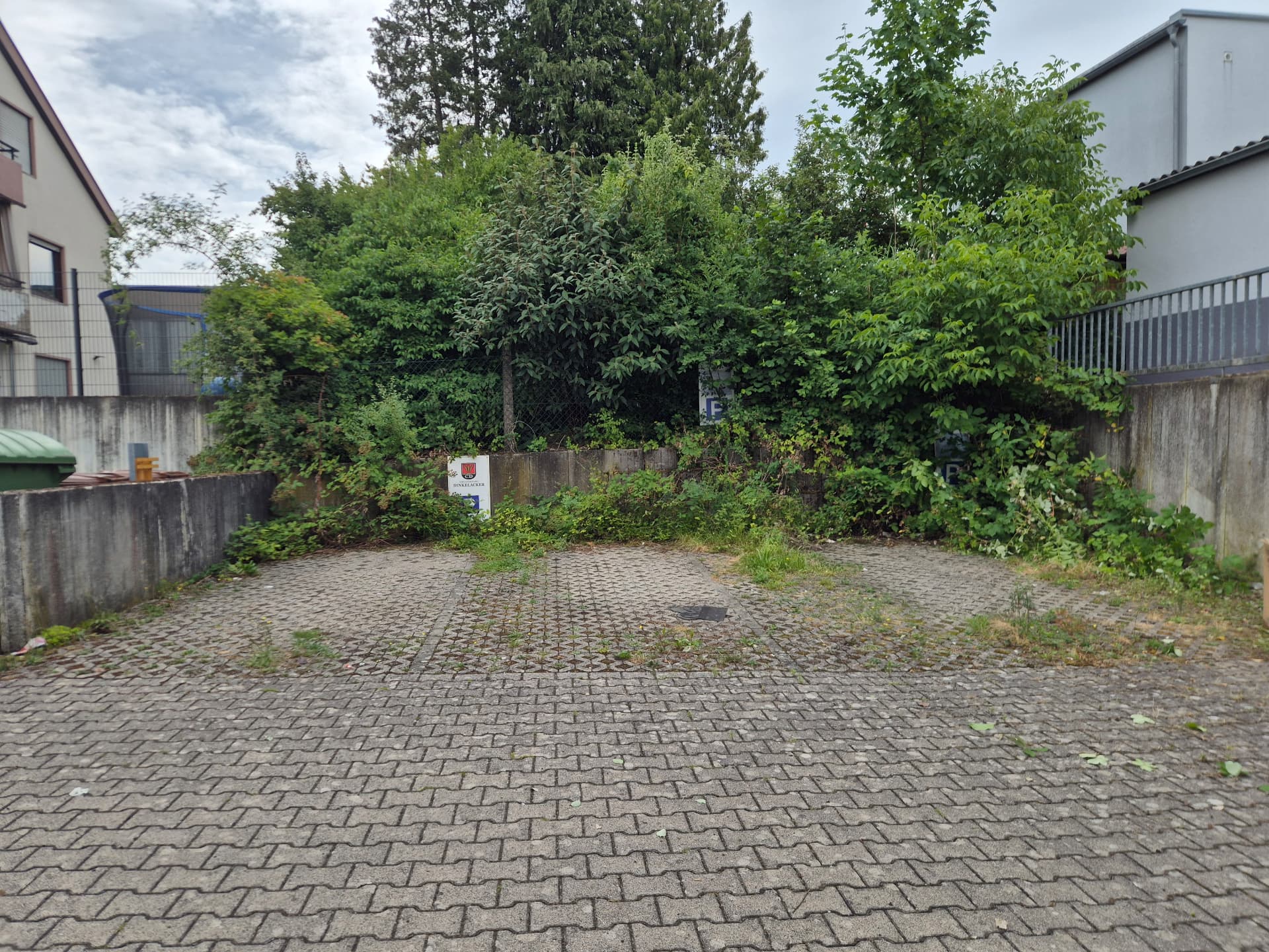 Freischneiden Stellplatz – vorher